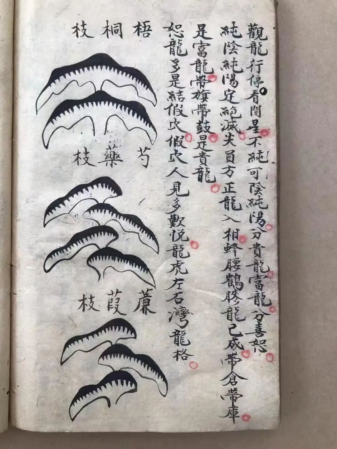 古风水名师秘传《地话》堪舆全书，详解寻龙点穴、五星穴法与葬法(9)