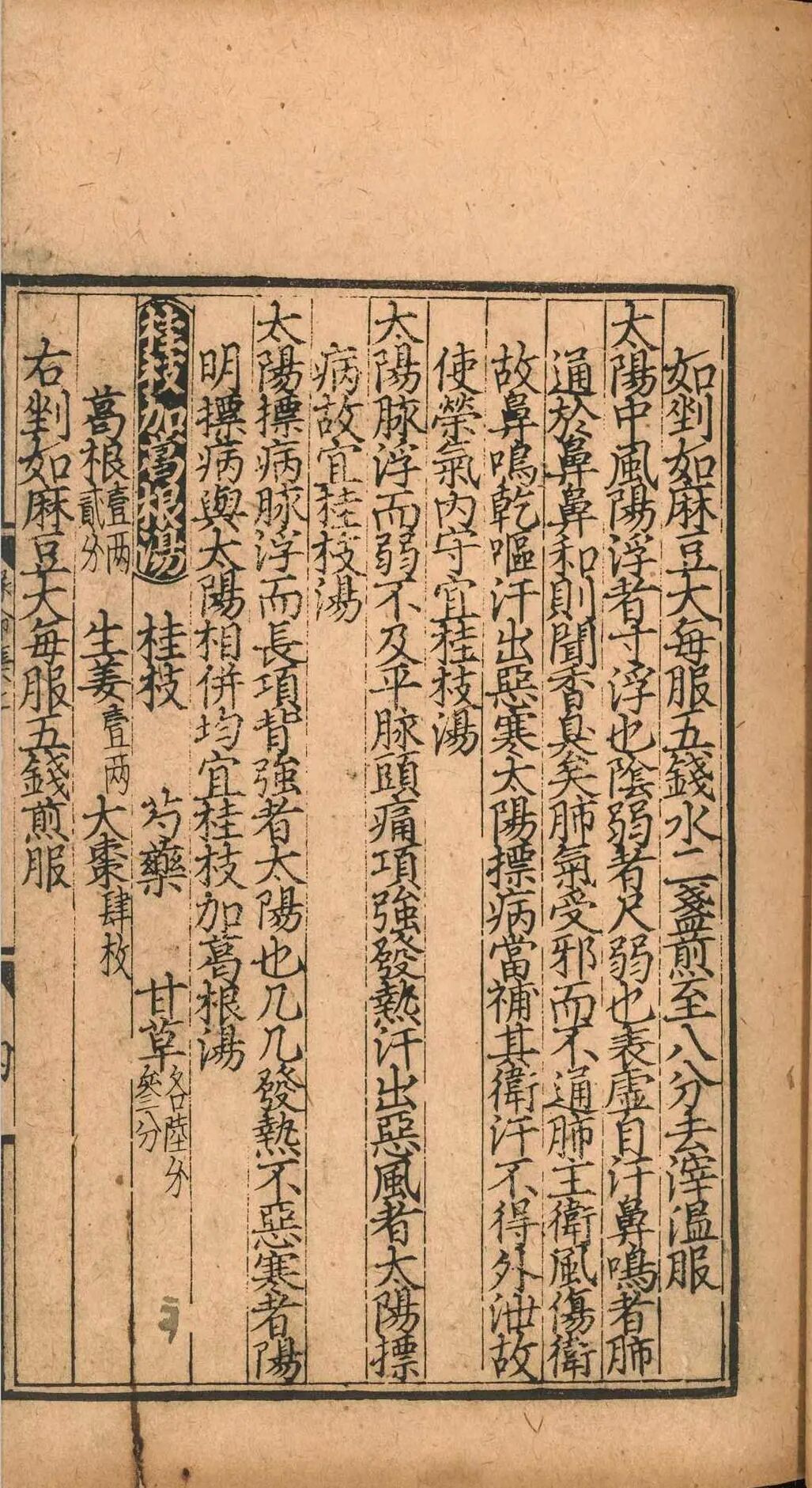 元延祐刻本《云岐子保命集论类要》二卷，金元伤寒名家张璧传世医籍(3)