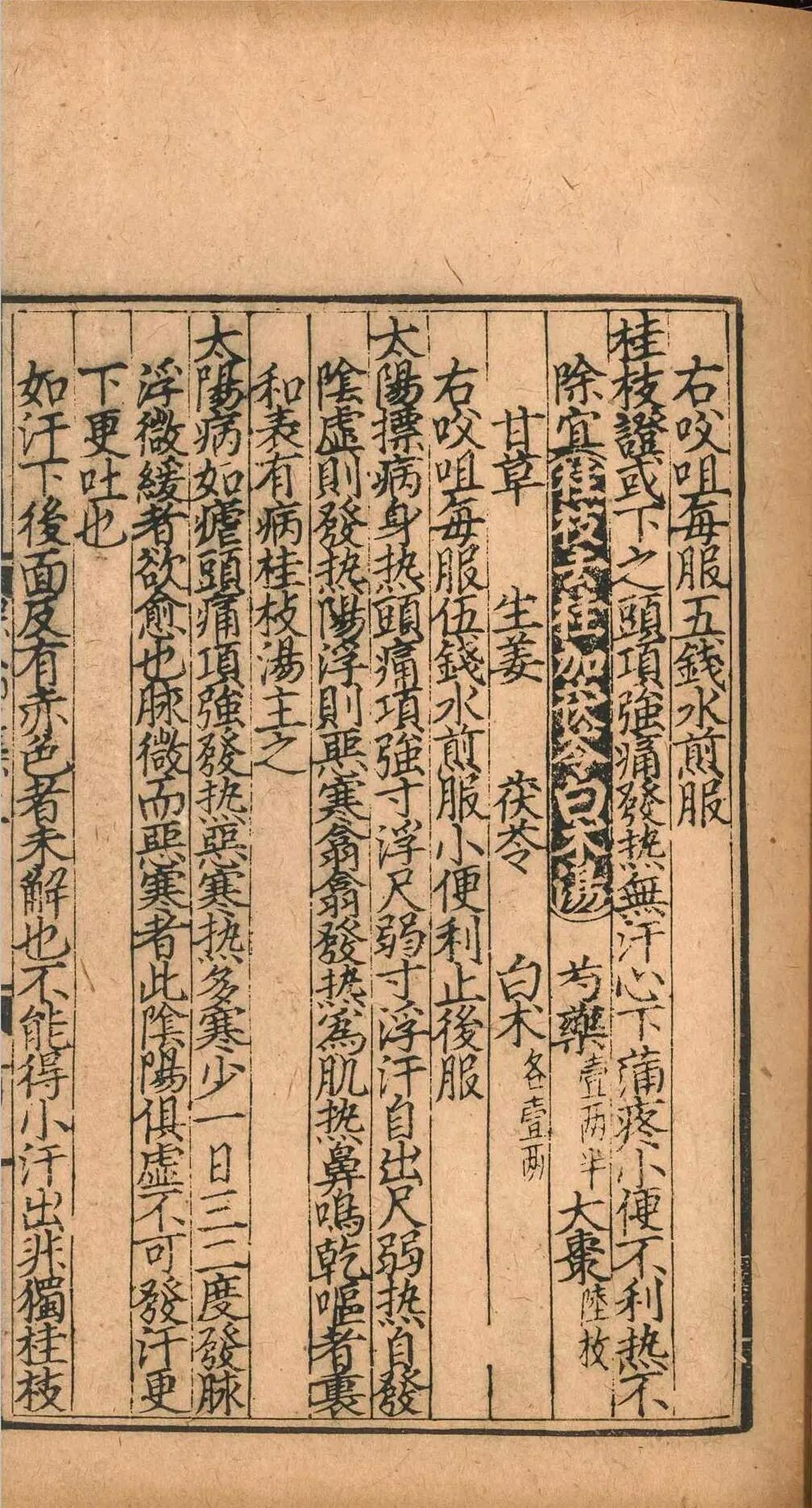 元延祐刻本《云岐子保命集论类要》二卷，金元伤寒名家张璧传世医籍(4)