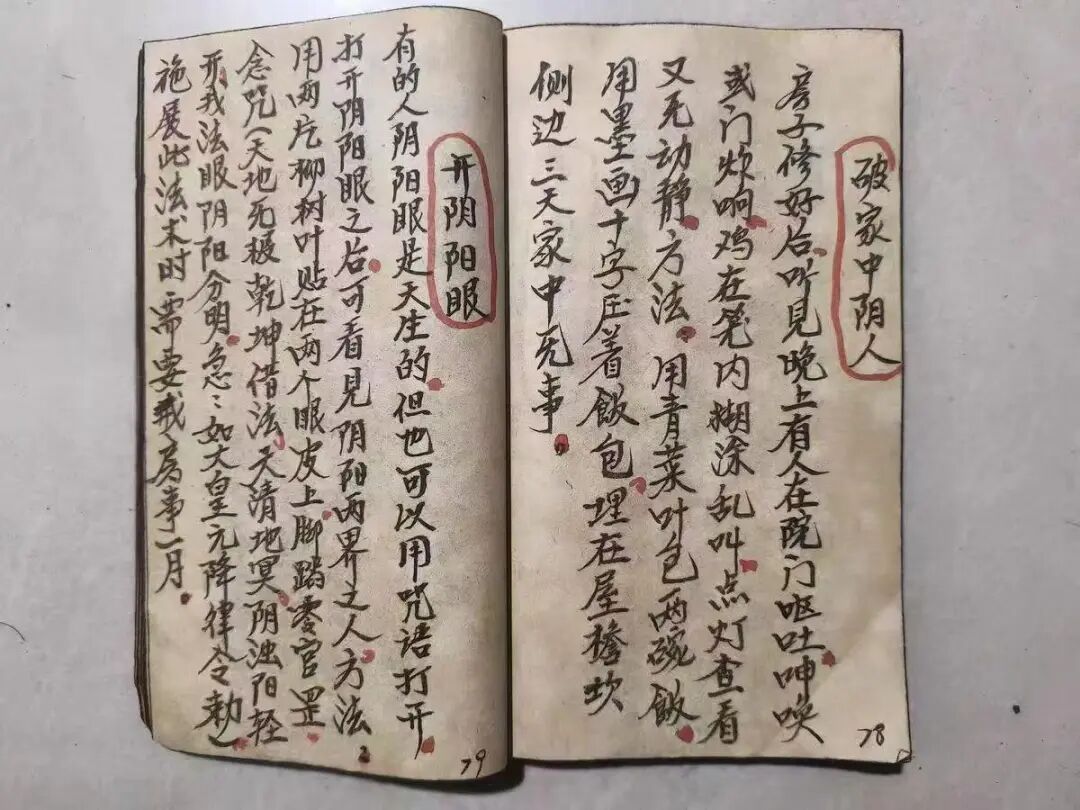 《整治仇人法》不是救命自保勿用，包含90多种秘术，民间秘法相关书籍(5)