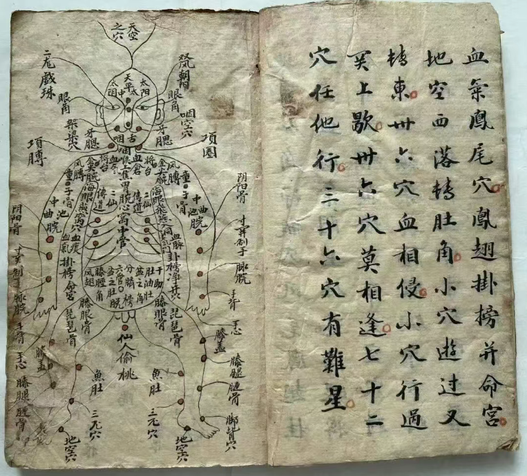 探秘中医跌打秘本：五百钱点解穴秘传(5)