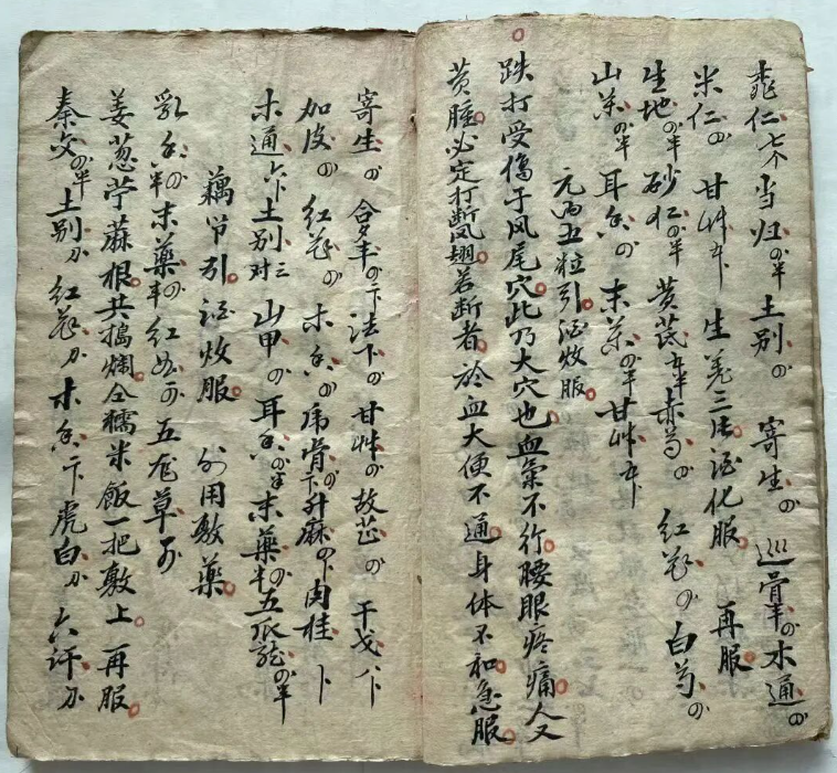 探秘中医跌打秘本：五百钱点解穴秘传(9)